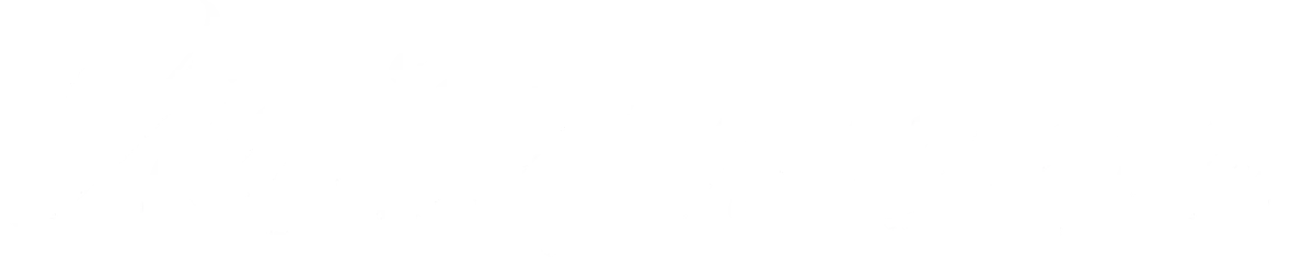Vision Media